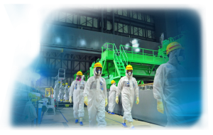 Muon Imaging at Fukushima