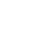 Icon of ammunition.