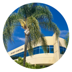 Decision Sciences San Diego office.
